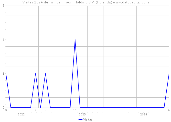 Visitas 2024 de Tim den Toom Holding B.V. (Holanda) 