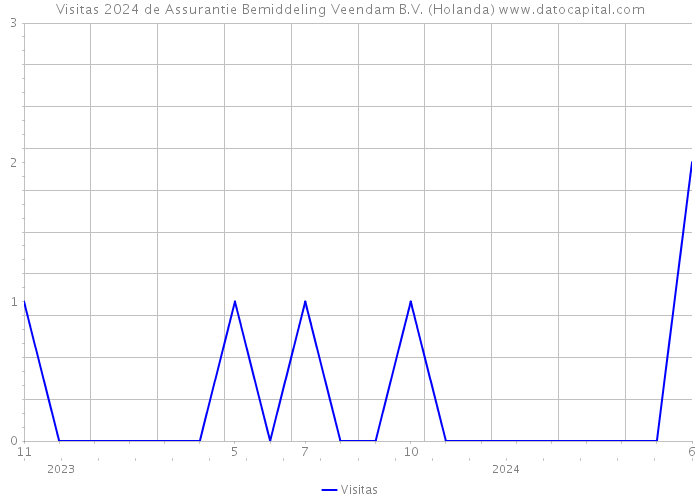 Visitas 2024 de Assurantie Bemiddeling Veendam B.V. (Holanda) 