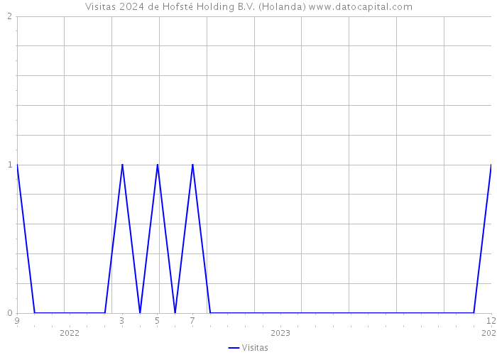 Visitas 2024 de Hofsté Holding B.V. (Holanda) 