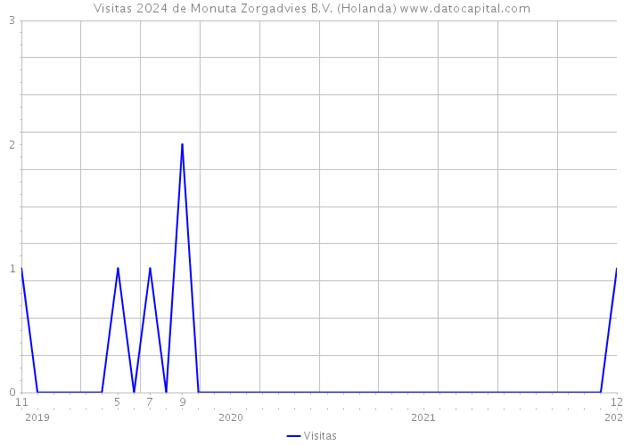 Visitas 2024 de Monuta Zorgadvies B.V. (Holanda) 