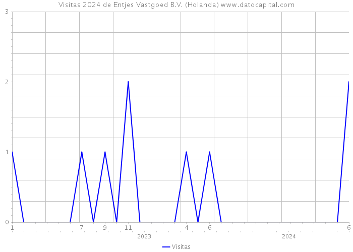 Visitas 2024 de Entjes Vastgoed B.V. (Holanda) 