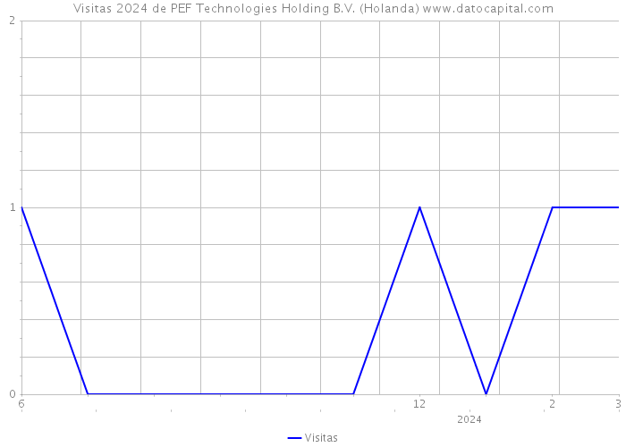 Visitas 2024 de PEF Technologies Holding B.V. (Holanda) 