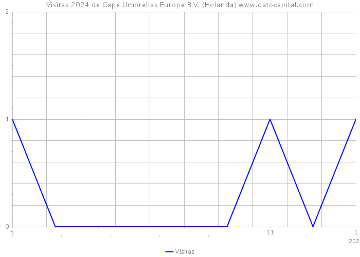 Visitas 2024 de Cape Umbrellas Europe B.V. (Holanda) 