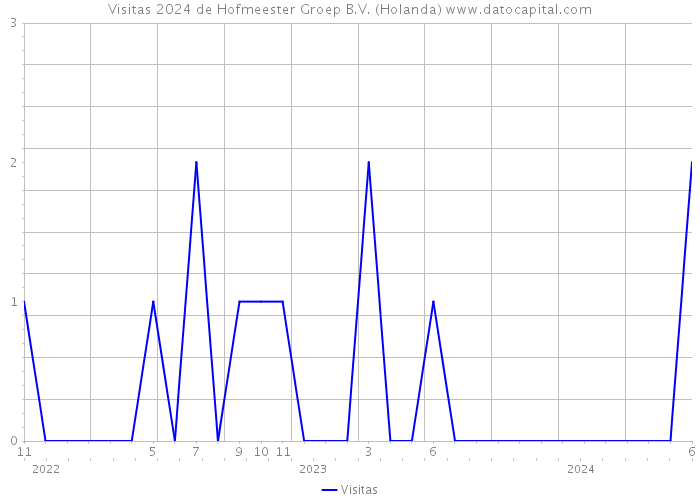 Visitas 2024 de Hofmeester Groep B.V. (Holanda) 