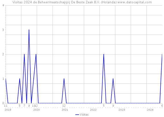 Visitas 2024 de Beheermaatschappij De Beste Zaak B.V. (Holanda) 