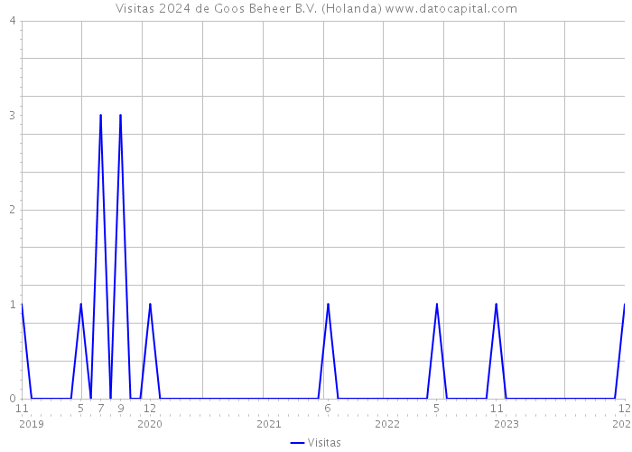 Visitas 2024 de Goos Beheer B.V. (Holanda) 