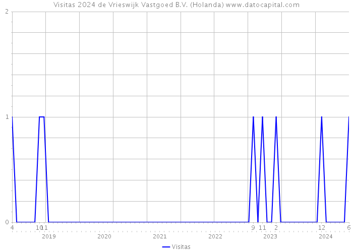 Visitas 2024 de Vrieswijk Vastgoed B.V. (Holanda) 