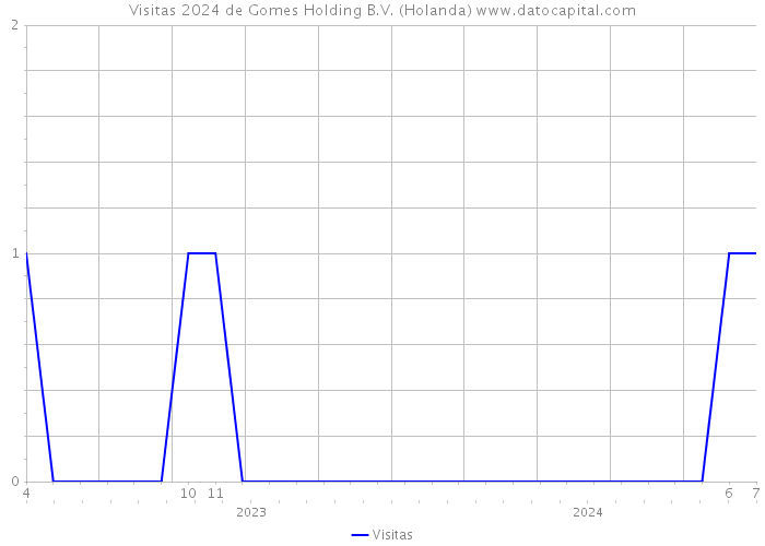 Visitas 2024 de Gomes Holding B.V. (Holanda) 