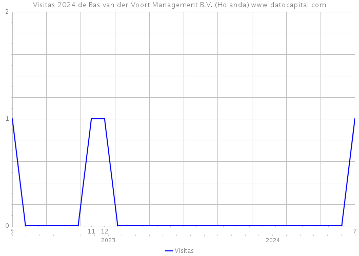 Visitas 2024 de Bas van der Voort Management B.V. (Holanda) 