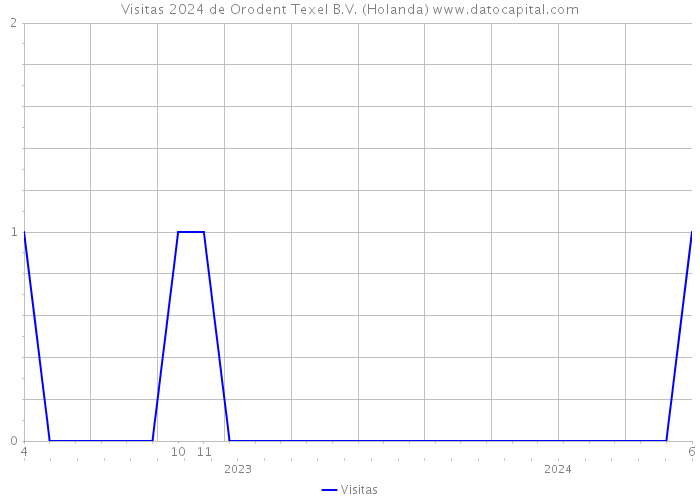 Visitas 2024 de Orodent Texel B.V. (Holanda) 