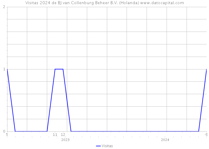 Visitas 2024 de BJ van Collenburg Beheer B.V. (Holanda) 