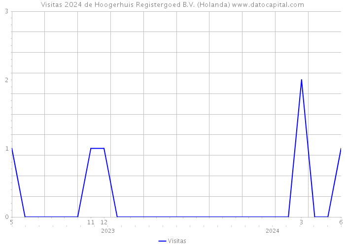 Visitas 2024 de Hoogerhuis Registergoed B.V. (Holanda) 
