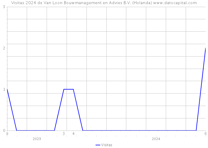 Visitas 2024 de Van Loon Bouwmanagement en Advies B.V. (Holanda) 