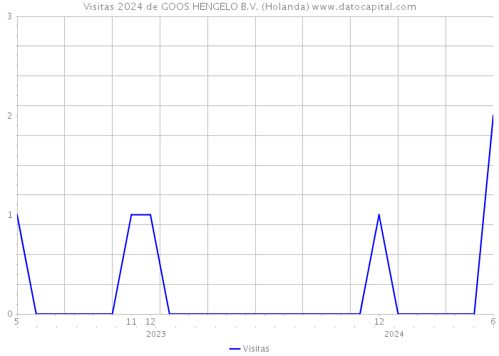 Visitas 2024 de GOOS HENGELO B.V. (Holanda) 