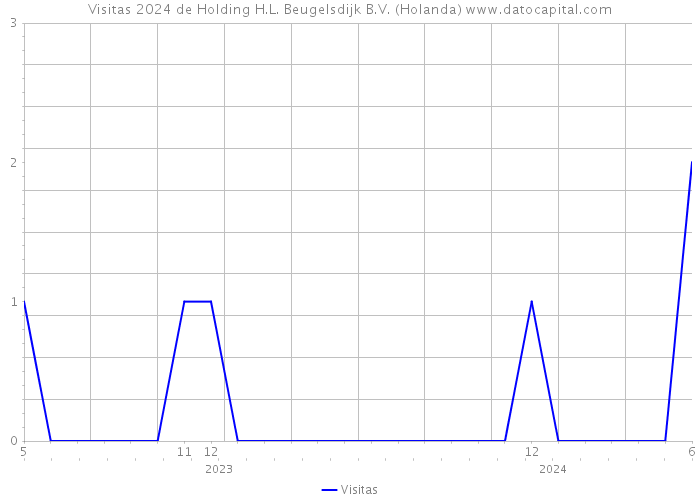 Visitas 2024 de Holding H.L. Beugelsdijk B.V. (Holanda) 