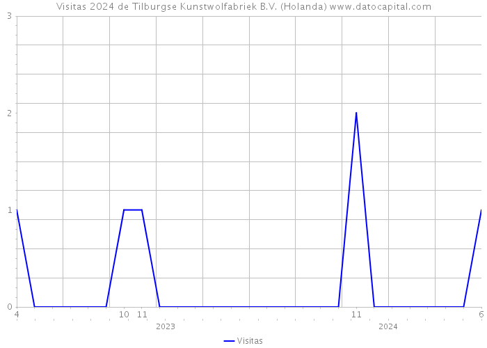 Visitas 2024 de Tilburgse Kunstwolfabriek B.V. (Holanda) 