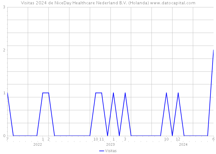 Visitas 2024 de NiceDay Healthcare Nederland B.V. (Holanda) 