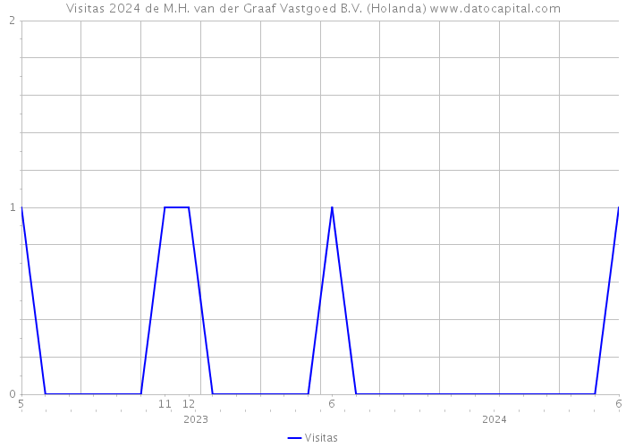 Visitas 2024 de M.H. van der Graaf Vastgoed B.V. (Holanda) 