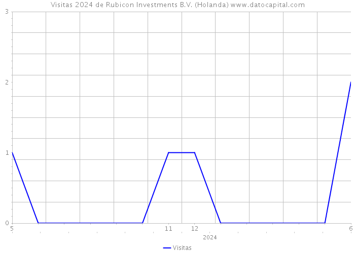 Visitas 2024 de Rubicon Investments B.V. (Holanda) 