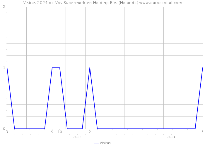 Visitas 2024 de Vos Supermarkten Holding B.V. (Holanda) 