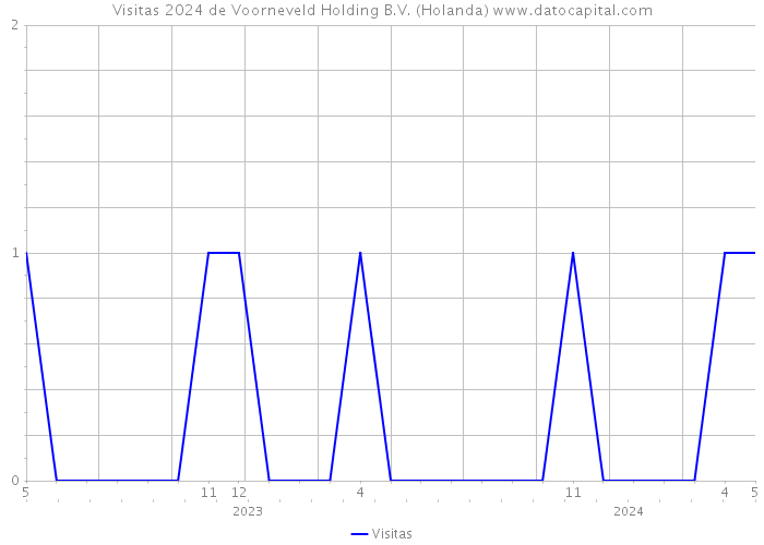 Visitas 2024 de Voorneveld Holding B.V. (Holanda) 