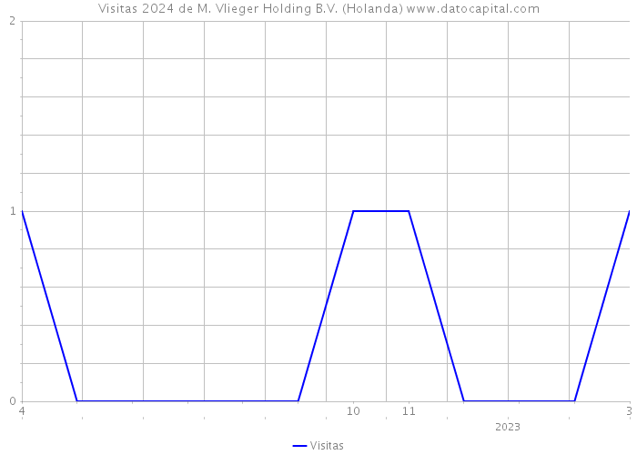 Visitas 2024 de M. Vlieger Holding B.V. (Holanda) 