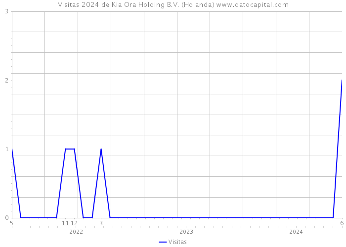 Visitas 2024 de Kia Ora Holding B.V. (Holanda) 