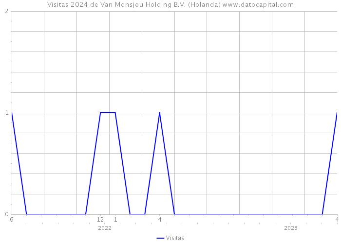 Visitas 2024 de Van Monsjou Holding B.V. (Holanda) 