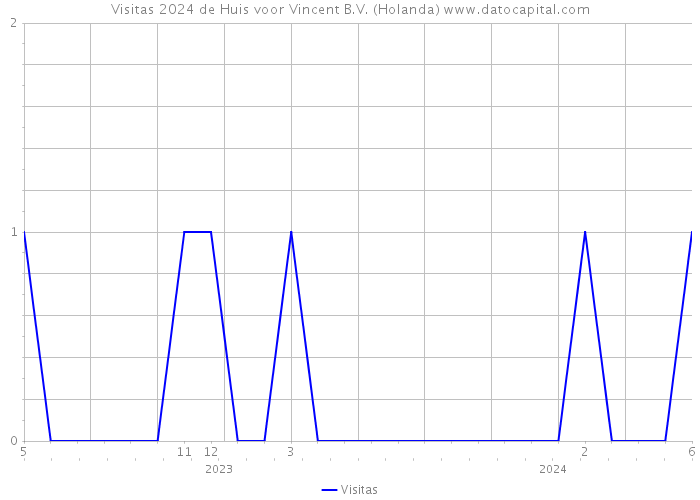 Visitas 2024 de Huis voor Vincent B.V. (Holanda) 