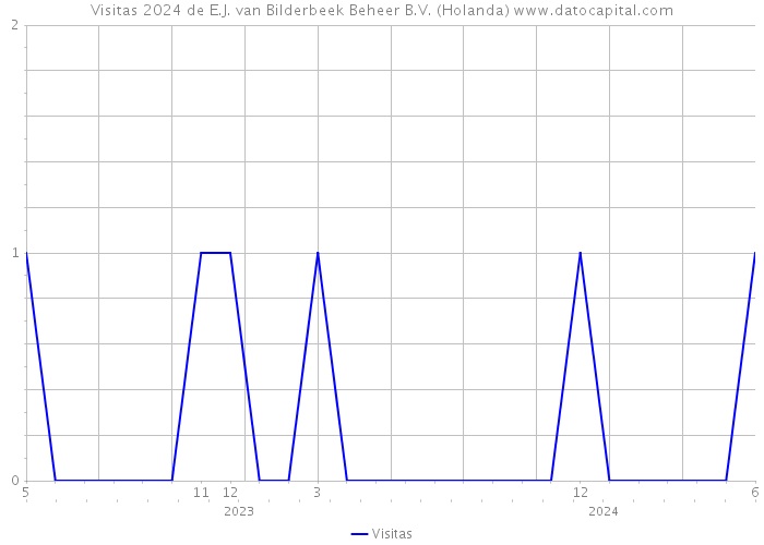 Visitas 2024 de E.J. van Bilderbeek Beheer B.V. (Holanda) 