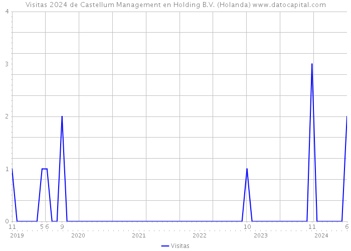 Visitas 2024 de Castellum Management en Holding B.V. (Holanda) 