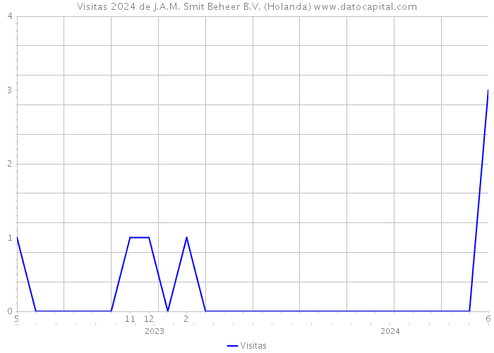 Visitas 2024 de J.A.M. Smit Beheer B.V. (Holanda) 