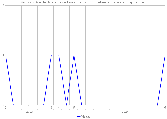 Visitas 2024 de Bargerveste Investments B.V. (Holanda) 