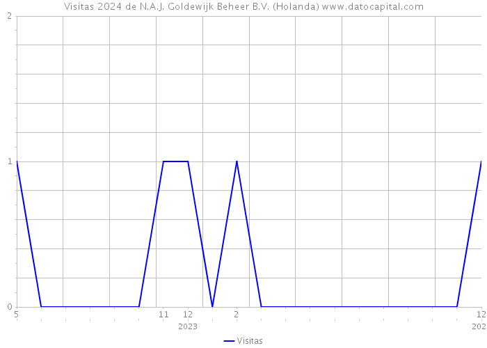 Visitas 2024 de N.A.J. Goldewijk Beheer B.V. (Holanda) 