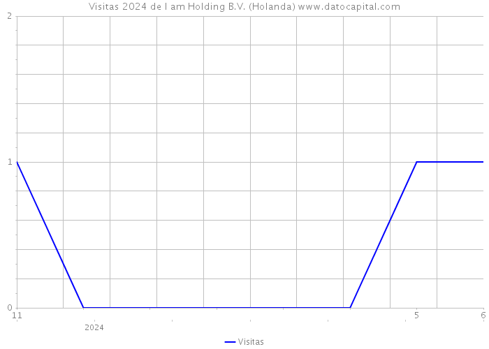 Visitas 2024 de I am Holding B.V. (Holanda) 