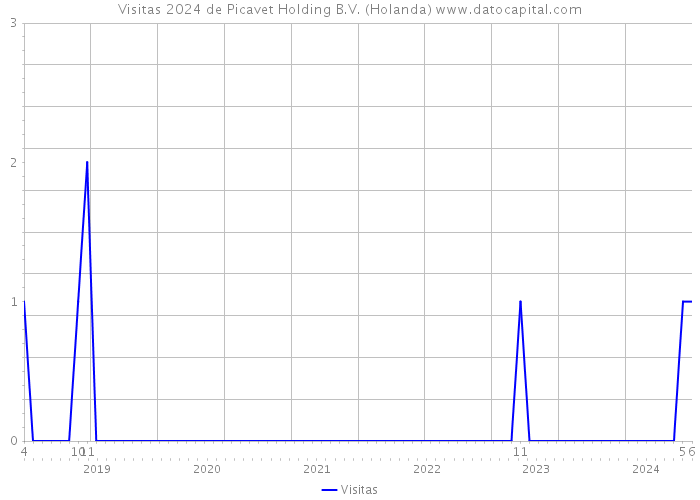 Visitas 2024 de Picavet Holding B.V. (Holanda) 