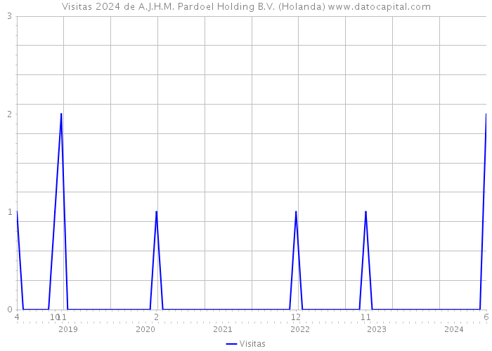 Visitas 2024 de A.J.H.M. Pardoel Holding B.V. (Holanda) 