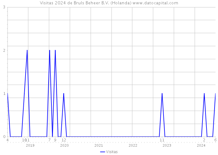 Visitas 2024 de Bruls Beheer B.V. (Holanda) 