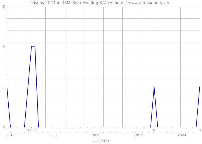 Visitas 2024 de N.M. Boer Holding B.V. (Holanda) 