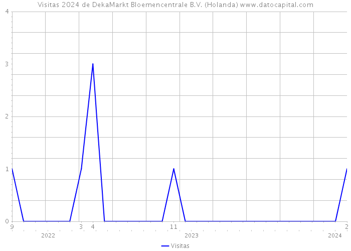 Visitas 2024 de DekaMarkt Bloemencentrale B.V. (Holanda) 