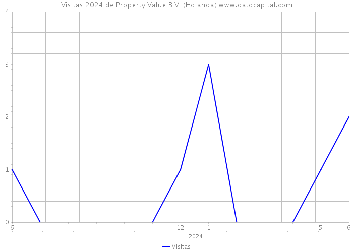 Visitas 2024 de Property Value B.V. (Holanda) 