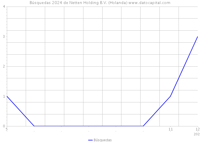 Búsquedas 2024 de Netten Holding B.V. (Holanda) 