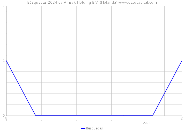 Búsquedas 2024 de Amsek Holding B.V. (Holanda) 