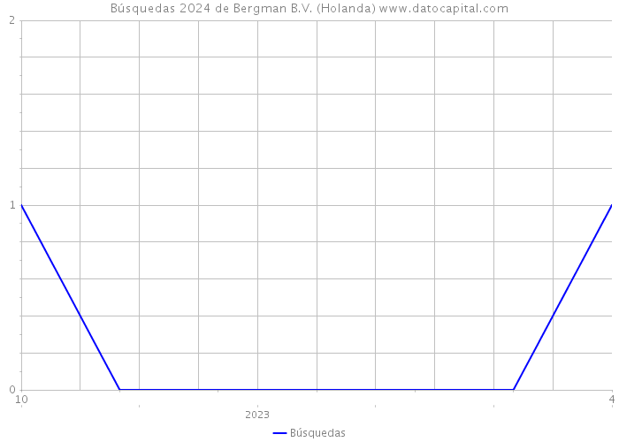 Búsquedas 2024 de Bergman B.V. (Holanda) 