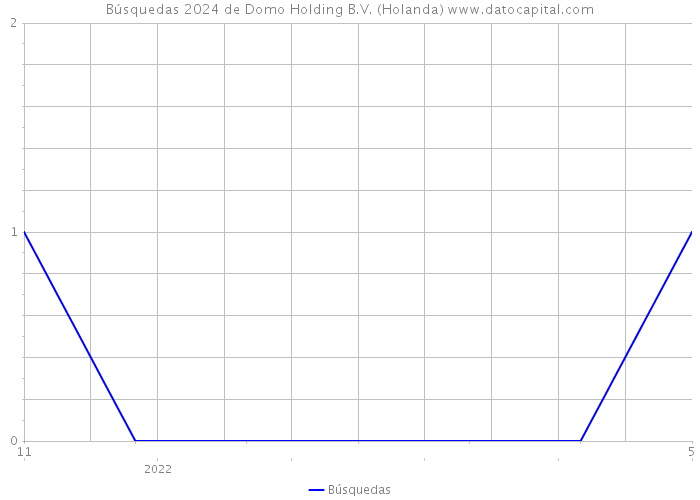 Búsquedas 2024 de Domo Holding B.V. (Holanda) 