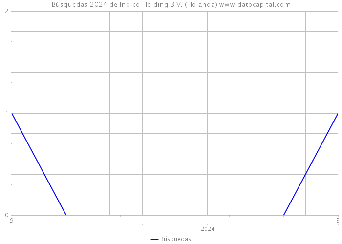 Búsquedas 2024 de Indico Holding B.V. (Holanda) 