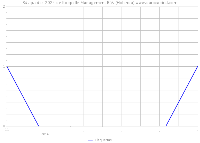 Búsquedas 2024 de Koppelle Management B.V. (Holanda) 
