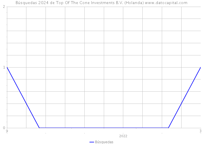 Búsquedas 2024 de Top Of The Cone Investments B.V. (Holanda) 