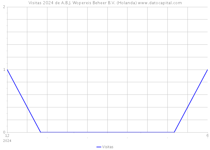 Visitas 2024 de A.B.J. Wopereis Beheer B.V. (Holanda) 