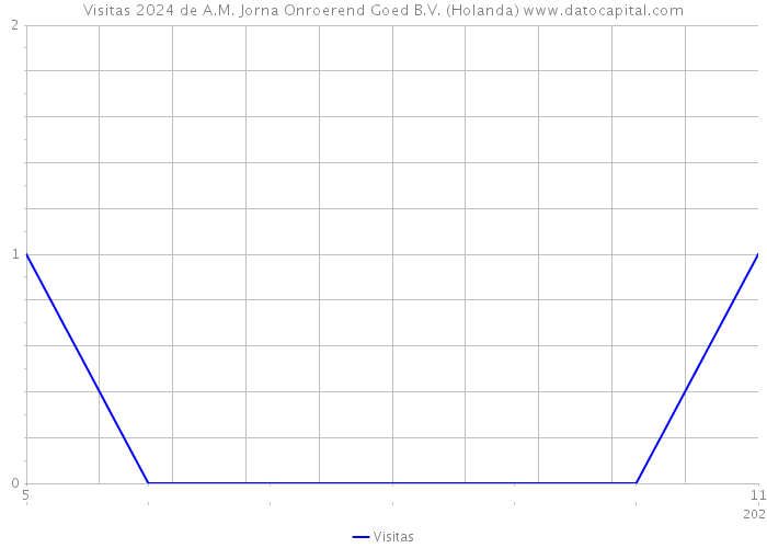 Visitas 2024 de A.M. Jorna Onroerend Goed B.V. (Holanda) 